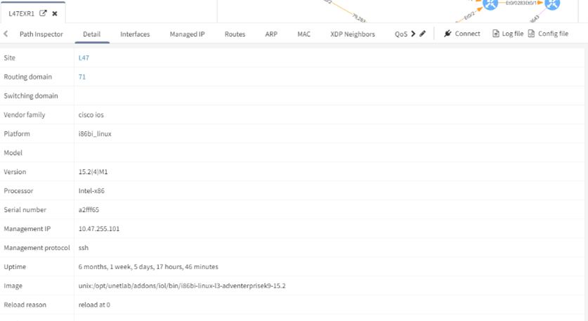 Wizualizacja topologii sieci w IP Fabric