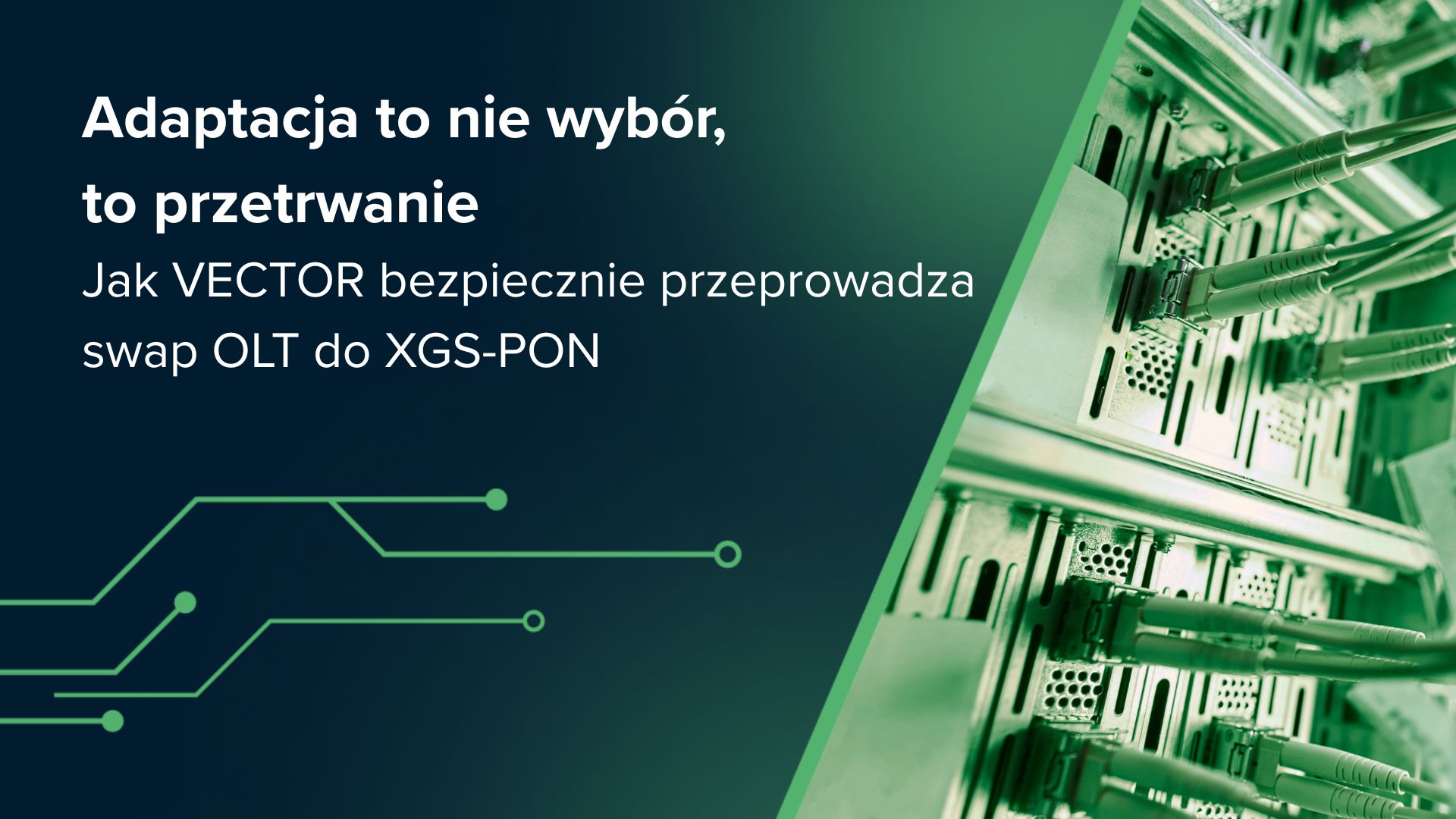 Adaptacja to nie wybór, to przetrwanie. Jak VECTOR bezpiecznie przeprowadza swap OLT do XGS-PON